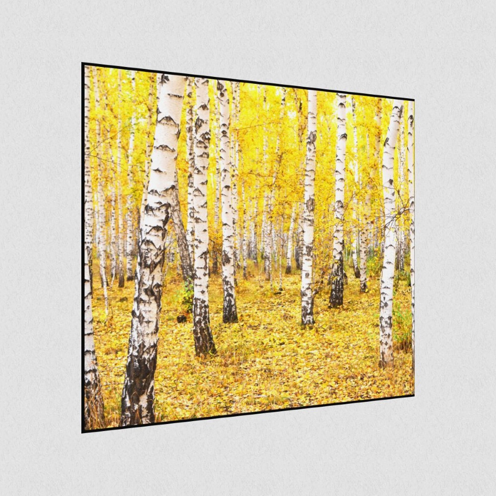 Artikelbild Akustikbild - Wald-Leuchtende Farben im Herbst – Basotect® Schallabsorber im schwarzen Aluminiumrahmen 530x530x55mm