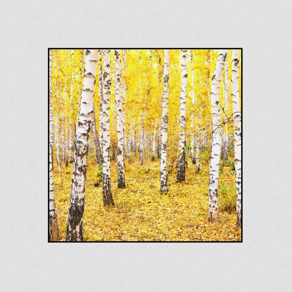 Artikelbild Akustikbild - Wald-Leuchtende Farben im Herbst – Basotect® Schallabsorber im schwarzen Aluminiumrahmen 530x530x55mm