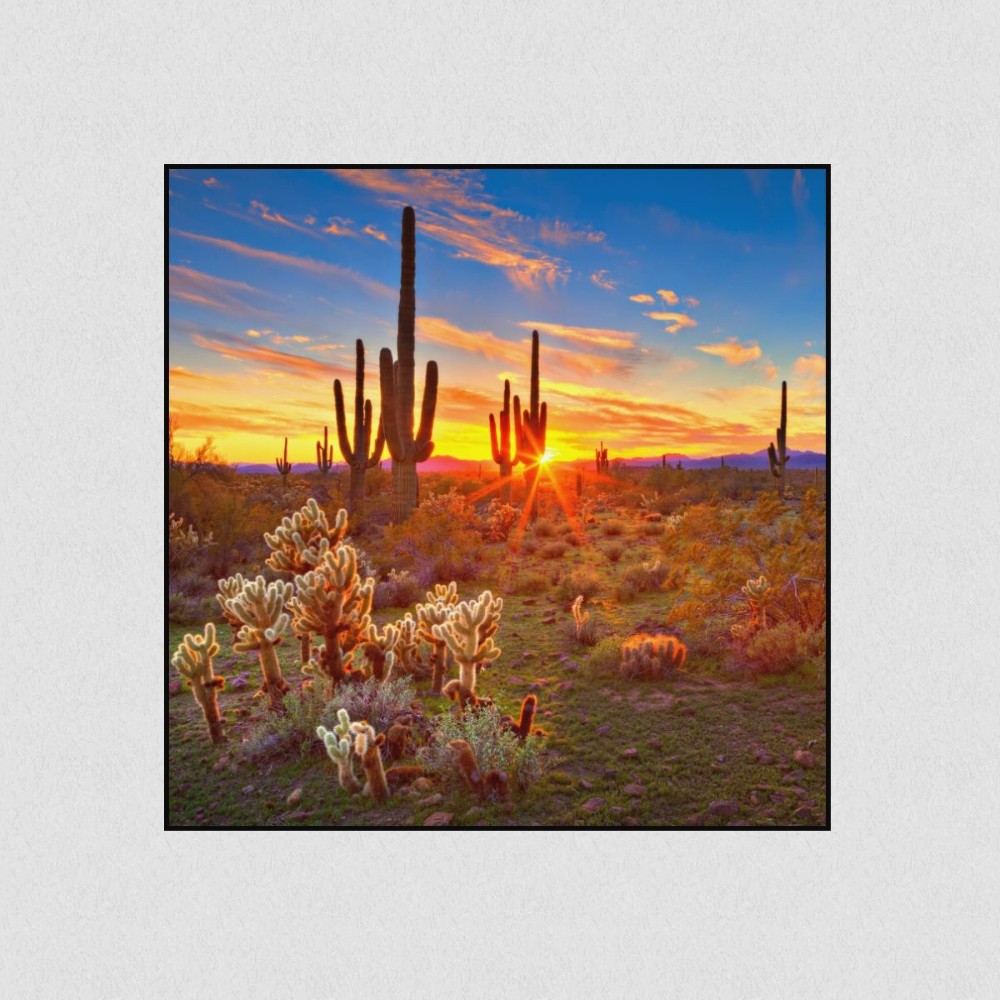 Artikelbild Akustikbild - Kakteen im Morgengrauen – Basotect® Schallabsorber im schwarzen Aluminiumrahmen 530x530x55mm