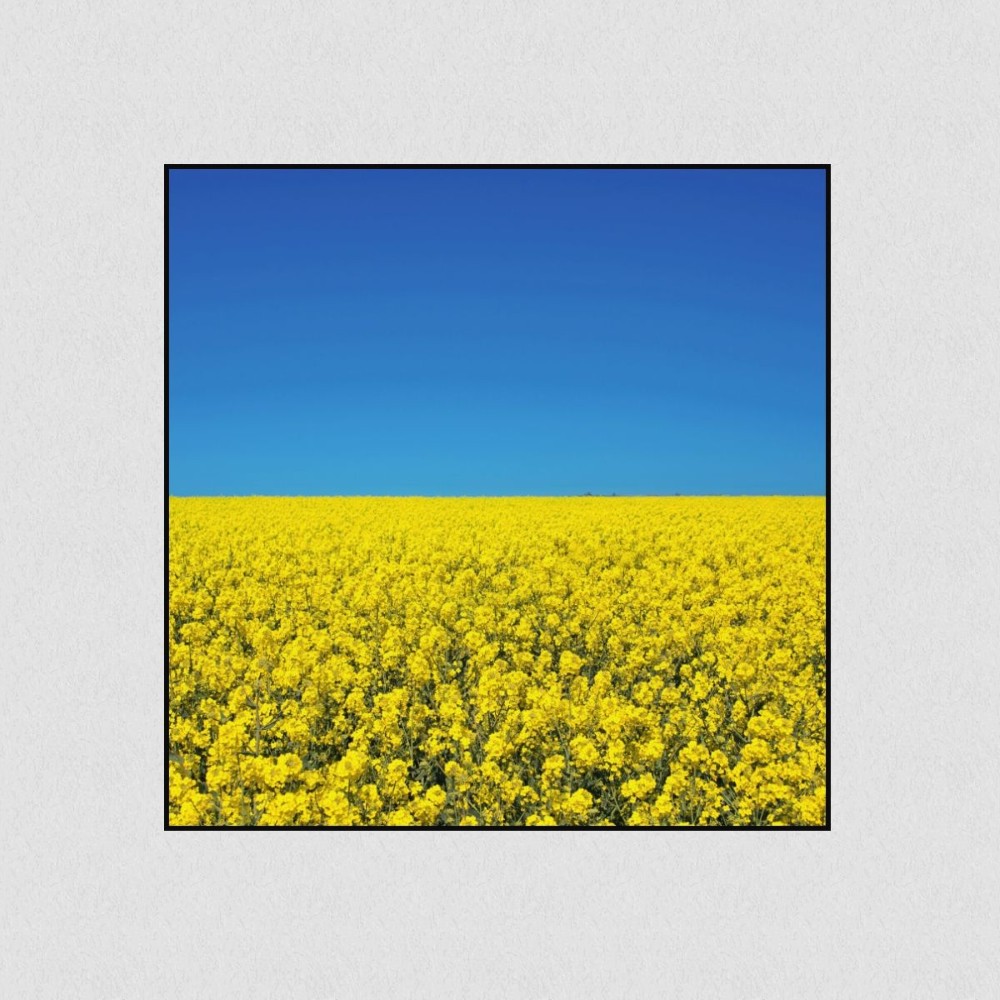 Artikelbild Akustikbild - Sommerhimmel – Basotect® Schallabsorber im schwarzen Aluminiumrahmen 530x530x55mm