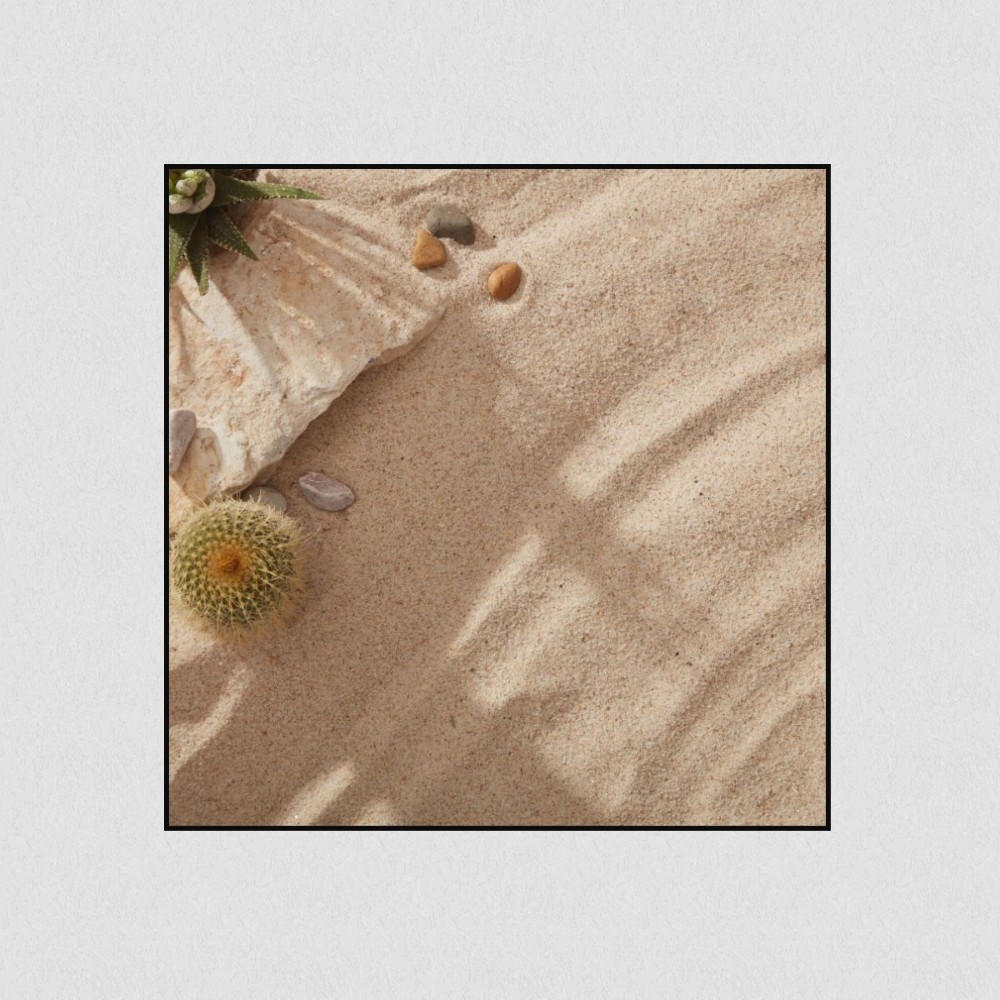 Artikelbild Akustikbild - Sommerstrand mit Steinen, Kakteen und Kies. – Basotect® Schallabsorber im schwarzen Aluminiumrahmen 530x530x55mm