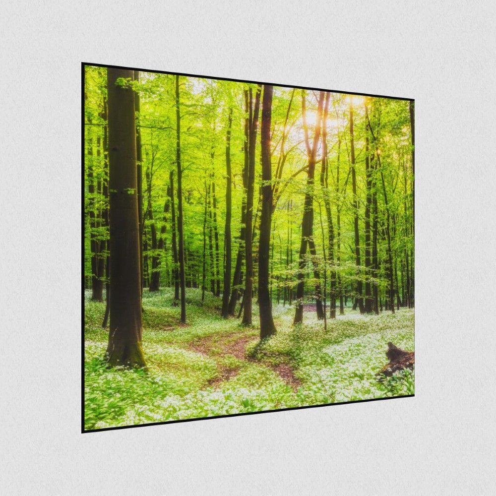 Artikelbild Akustikbild - Waldweg – Lassen Sie sich von der Natur ablenken! – Basotect® Schallabsorber im schwarzen Aluminiumrahmen 530x530x55mm