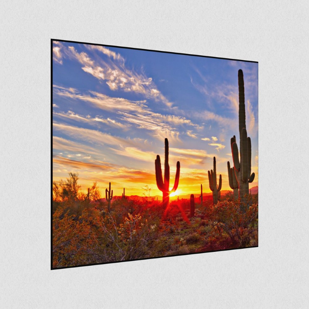 Artikelbild Akustikbild - Saguaros bei Sunset in Sonoran Wüste bei Phoenix – Basotect® Schallabsorber im schwarzen Aluminiumrahmen 530x530x55mm