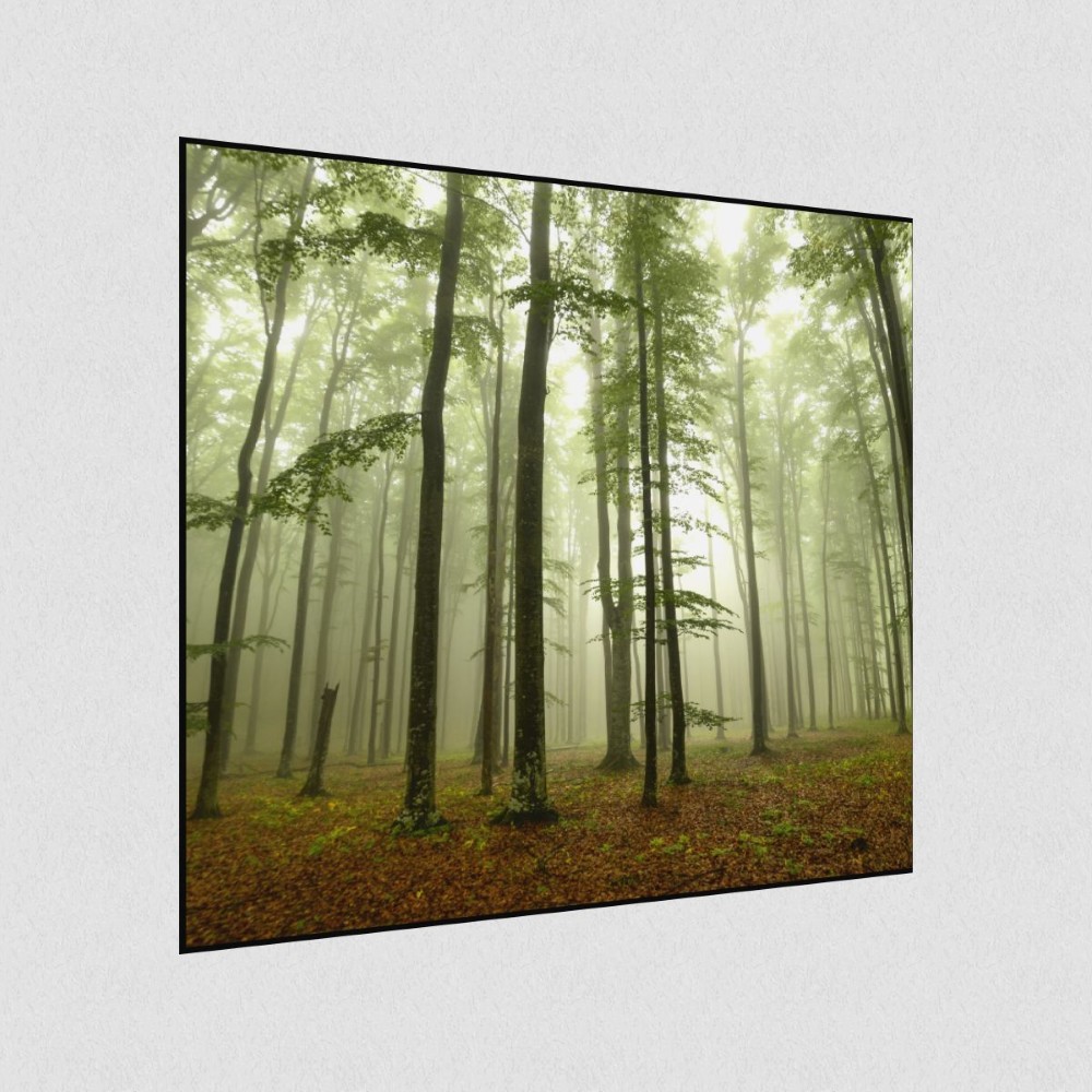 Artikelbild Akustikbild - Nebel im Wald – Basotect® Schallabsorber im schwarzen Aluminiumrahmen 530x530x55mm