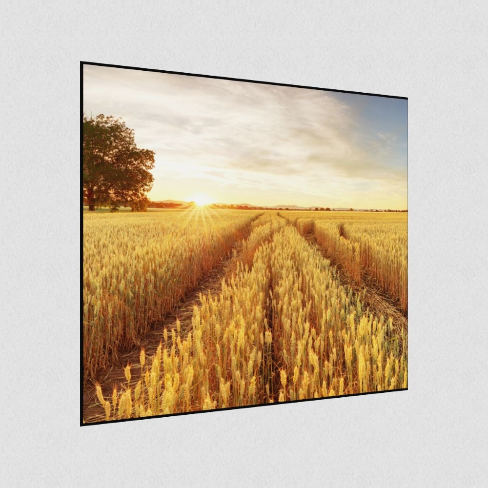 Artikelbild Akustikbild - Feldweg ins Getreidegold – Basotect® Schallabsorber im schwarzen Aluminiumrahmen 530x530x55mm