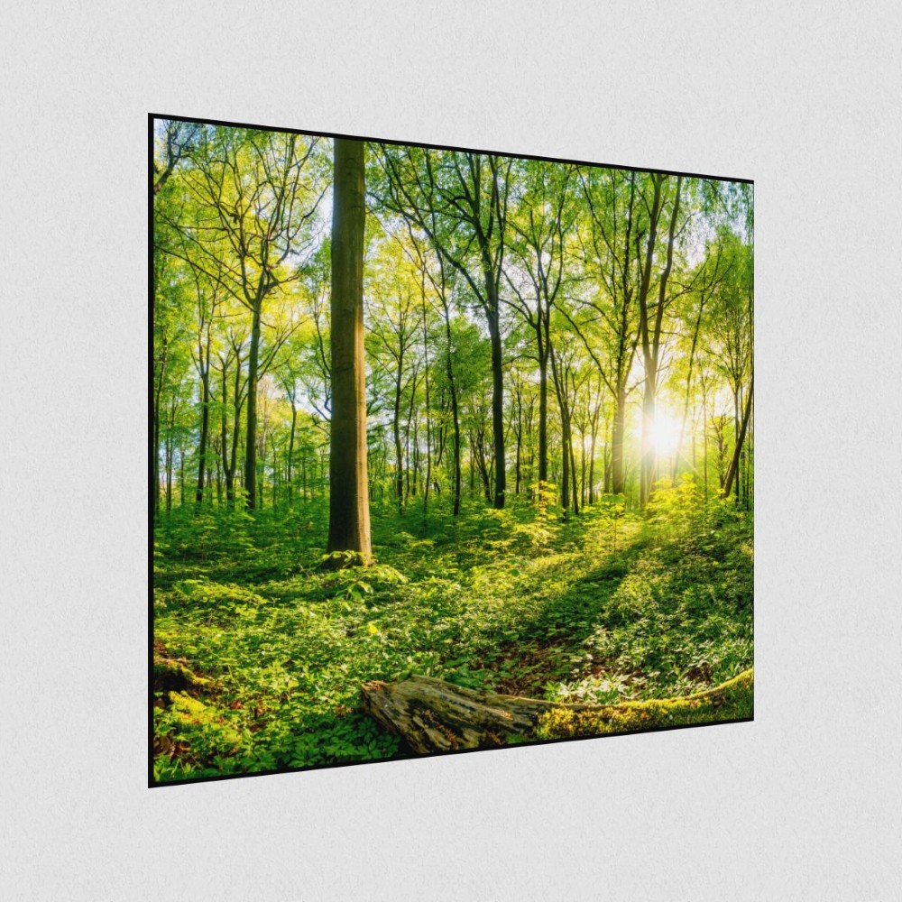 Artikelbild Akustikbild - Sonnenuntergang im Wald – Basotect® Schallabsorber im schwarzen Aluminiumrahmen 530x530x55mm