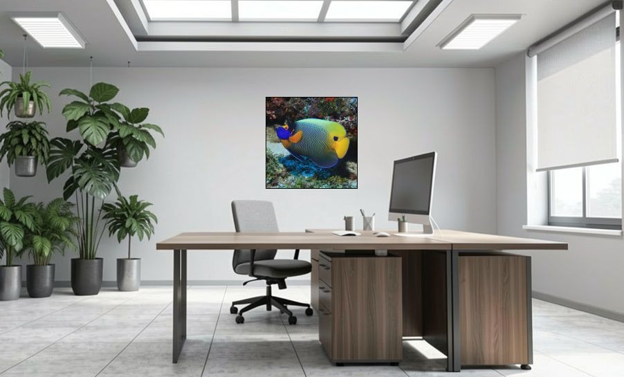 Artikelbild Akustikbild - Ein Fisch – Basotect® Schallabsorber im schwarzen Aluminiumrahmen 1030x1030x55mm