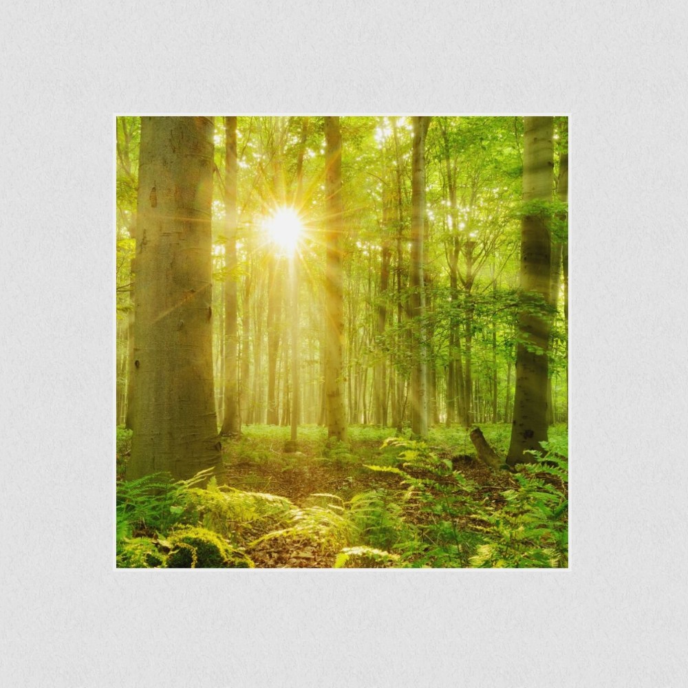Artikelbild Akustikbild - Die ersten Sonnenstrahlen – Basotect® Schallabsorber im weißen Aluminiumrahmen 530x530x55mm