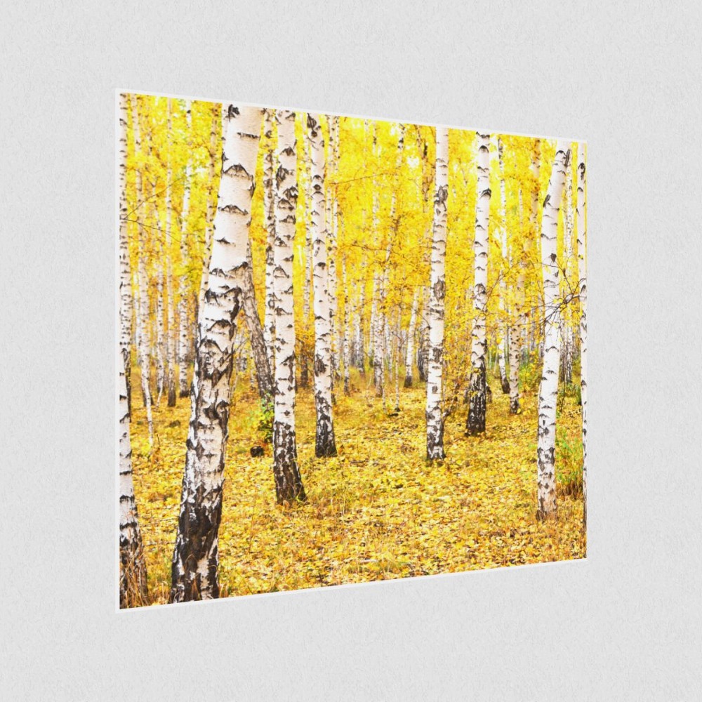 Artikelbild Akustikbild - Wald-Leuchtende Farben im Herbst – Basotect® Schallabsorber im weißen Aluminiumrahmen 530x530x55mm