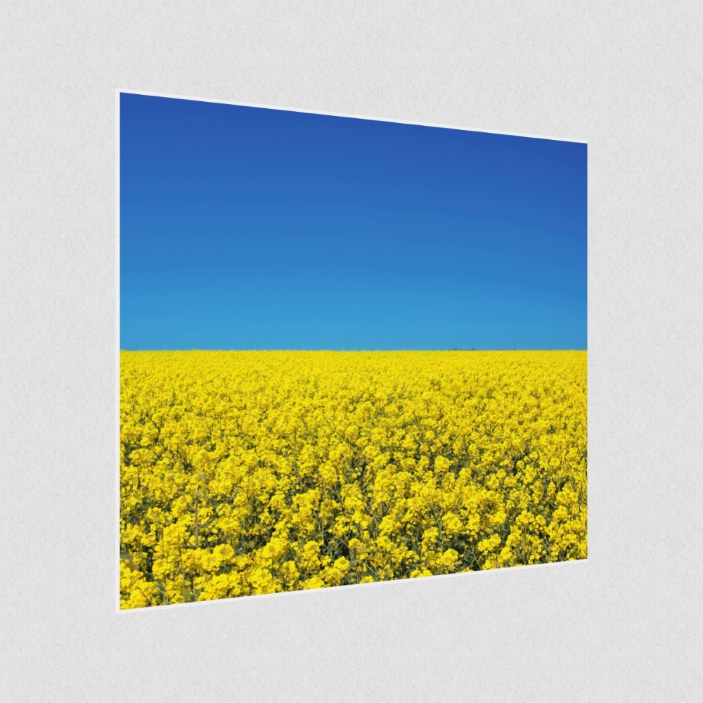 Artikelbild Akustikbild - Sommerhimmel – Basotect® Schallabsorber im weißen Aluminiumrahmen 530x530x55mm