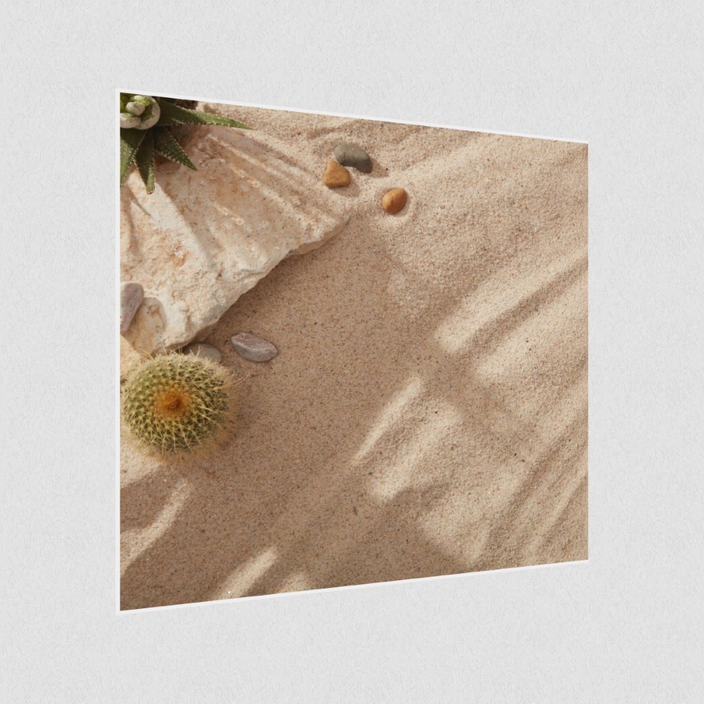 Artikelbild Akustikbild - Sommerstrand mit Steinen, Kakteen und Kies. – Basotect® Schallabsorber im weißen Aluminiumrahmen 530x530x55mm
