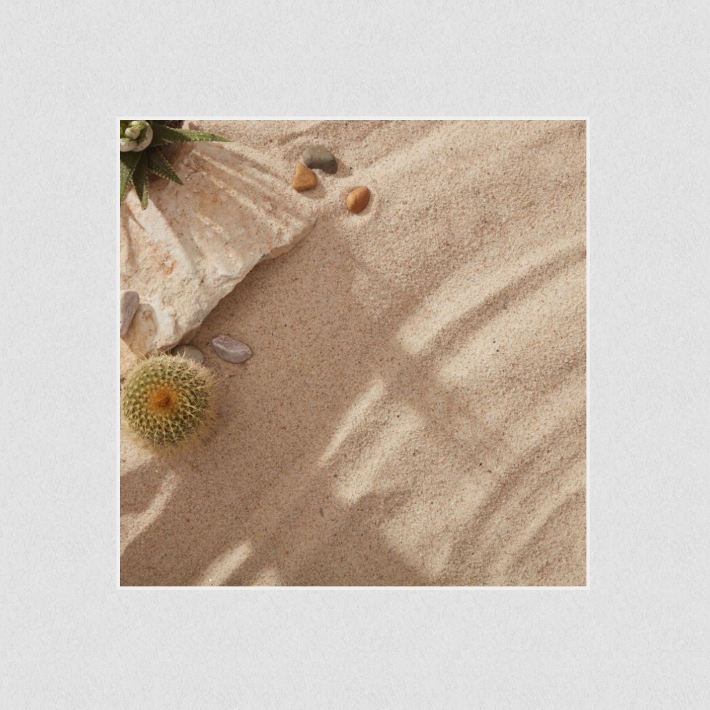 Artikelbild Akustikbild - Sommerstrand mit Steinen, Kakteen und Kies. – Basotect® Schallabsorber im weißen Aluminiumrahmen 530x530x55mm