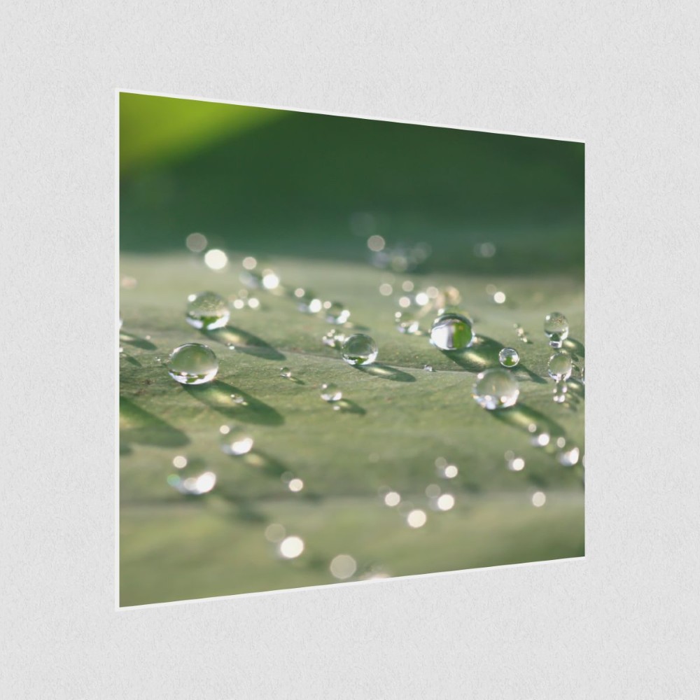 Artikelbild Akustikbild - Wassertropfen – Basotect® Schallabsorber im weißen Aluminiumrahmen 530x530x55mm
