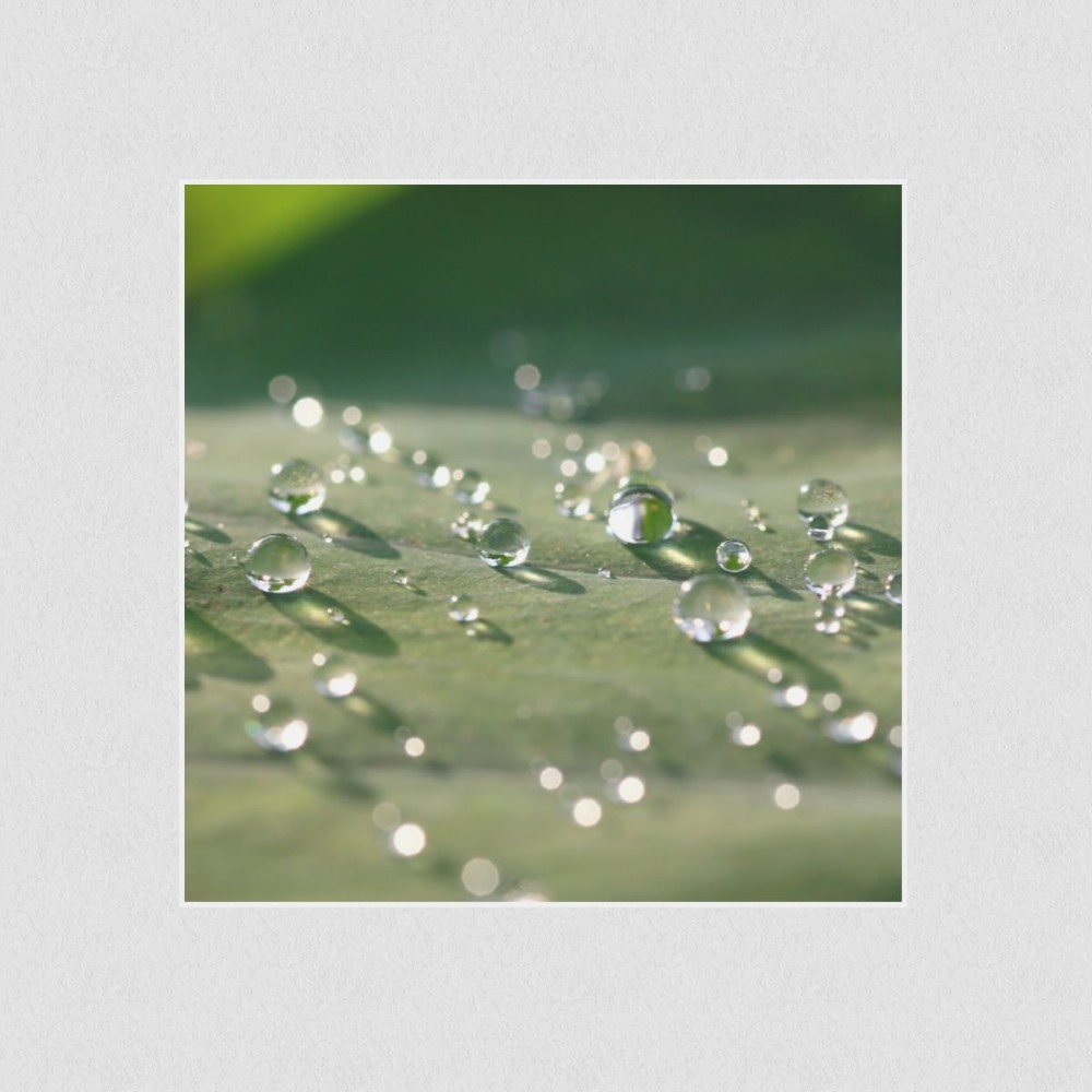 Artikelbild Akustikbild - Wassertropfen – Basotect® Schallabsorber im weißen Aluminiumrahmen 530x530x55mm