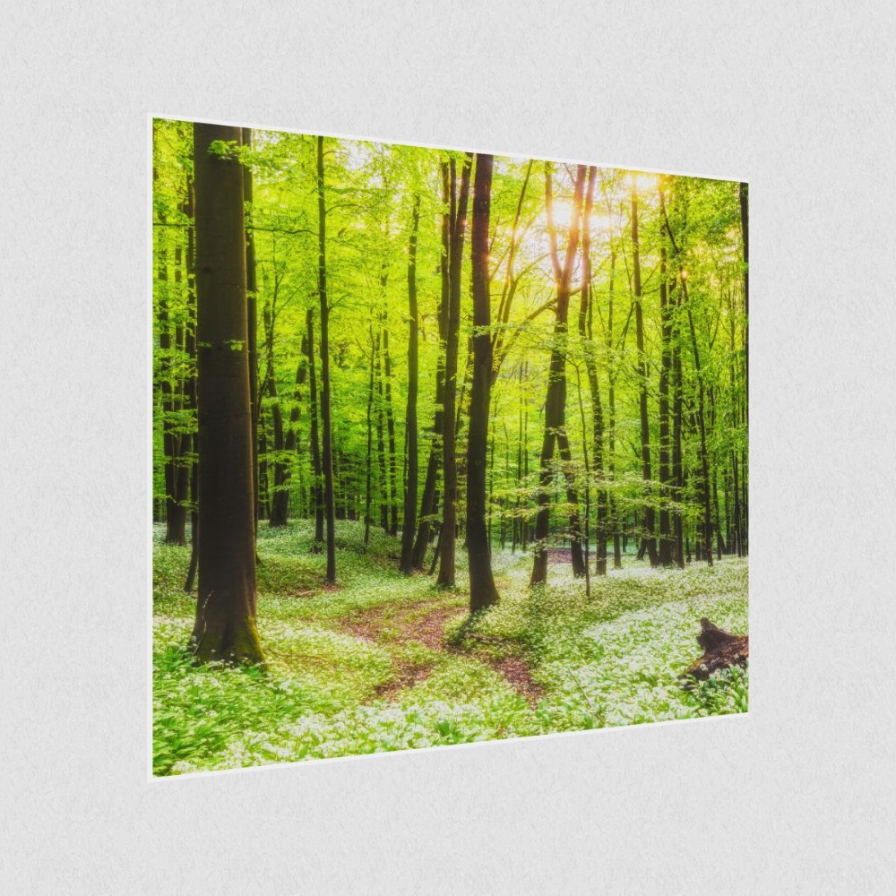 Artikelbild Akustikbild - Waldweg – Lassen Sie sich von der Natur ablenken! – Basotect® Schallabsorber im weißen Aluminiumrahmen 530x530x55mm