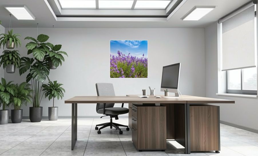 Artikelbild Akustikbild - Lavendel – Duftende Lavendelfelder in der Provence – Basotect® Schallabsorber im weissen Aluminiumrahmen 1030x1030x55mm
