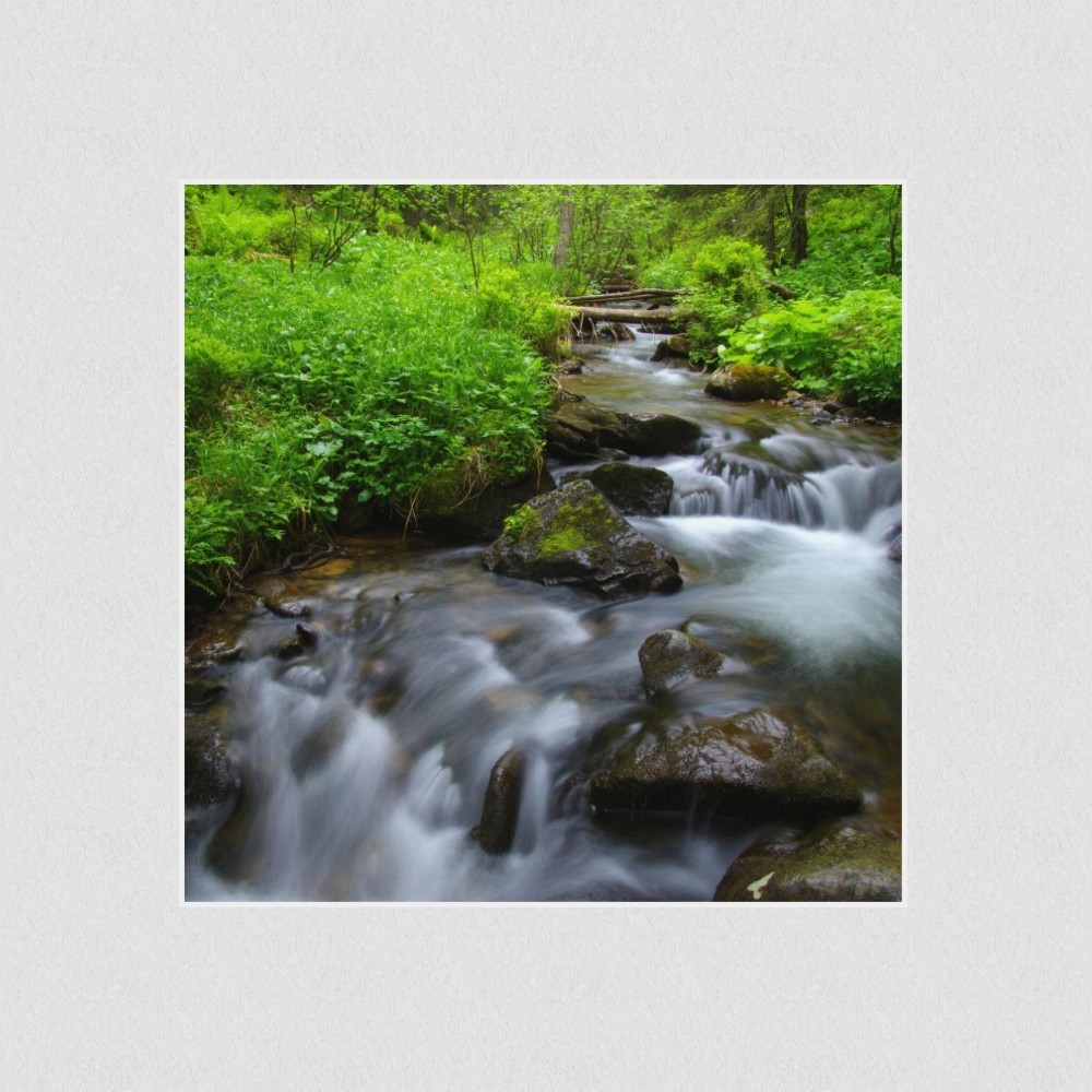 Artikelbild Akustikbild - Wald - Alles fließt! – Basotect® Schallabsorber im weißen Aluminiumrahmen 530x530x55mm