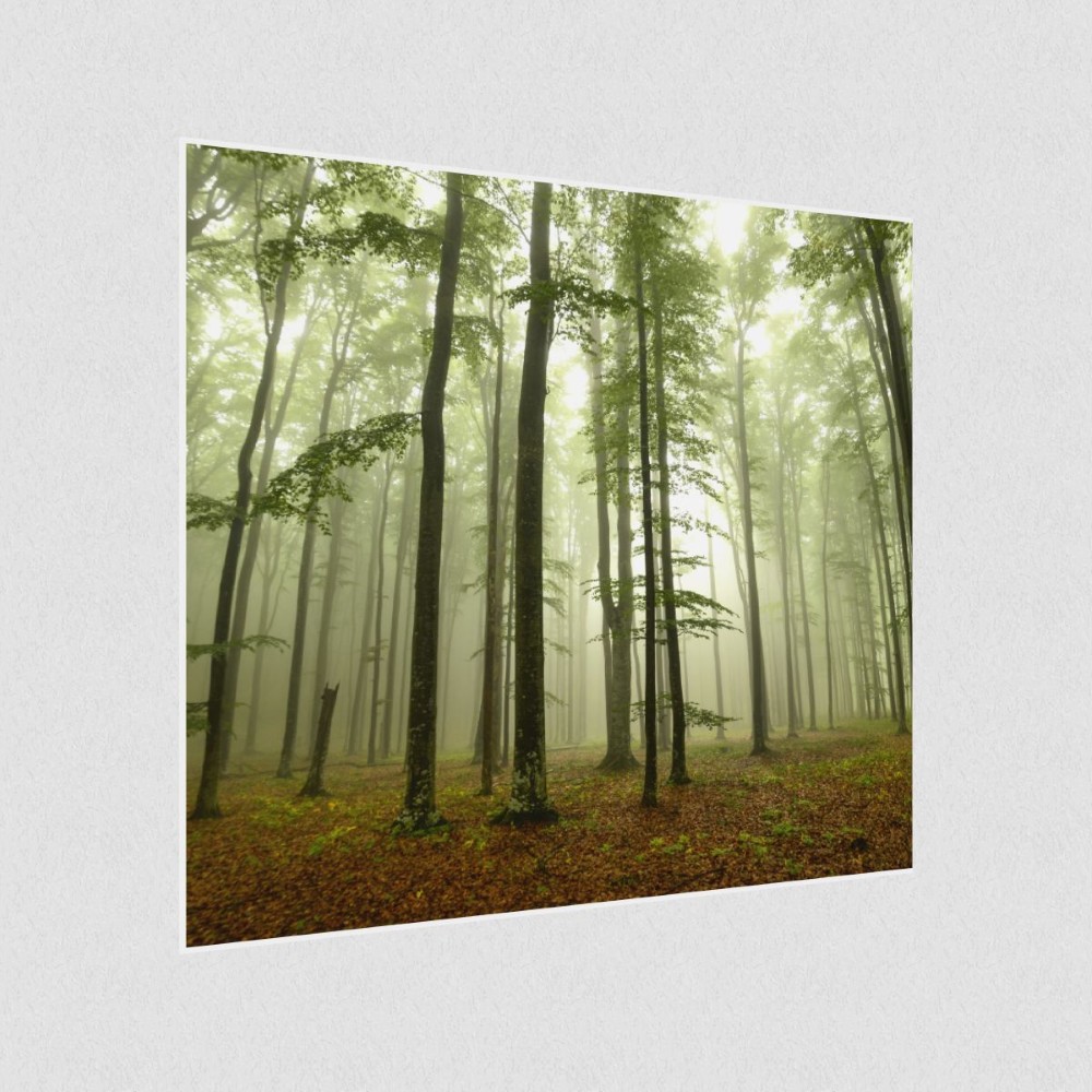 Artikelbild Akustikbild - Nebel im Wald – Basotect® Schallabsorber im weißen Aluminiumrahmen 530x530x55mm