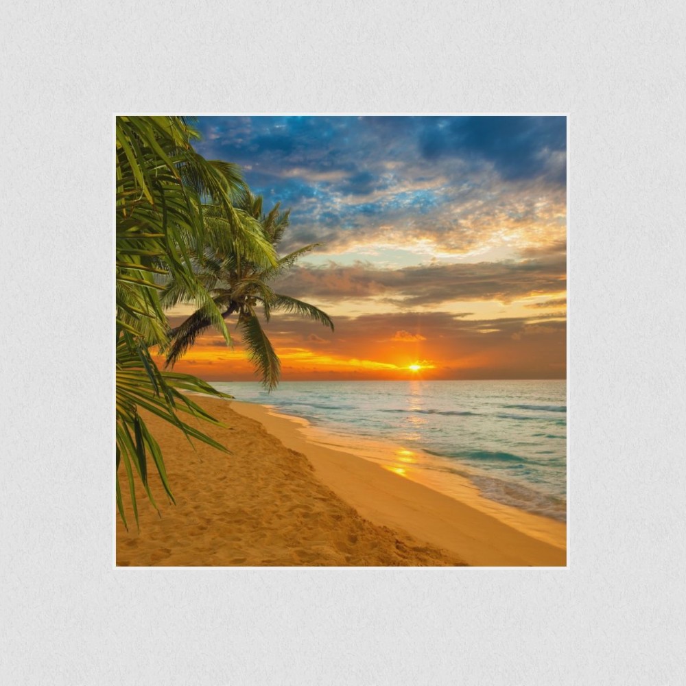 Artikelbild Akustikbild - Palmen im Sonnenuntergang – Basotect® Schallabsorber im weißen Aluminiumrahmen 530x530x55mm