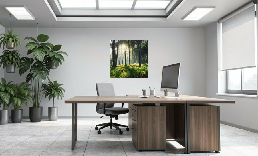 Artikelbild Akustikbild - Sonnenaufgang im Wald – Basotect® Schallabsorber im weissen Aluminiumrahmen 1030x1030x55mm