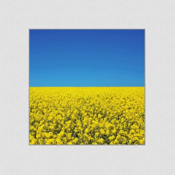 Akustikbild Basotect® Schallabsorber - Sommerhimmel in vielen Größen