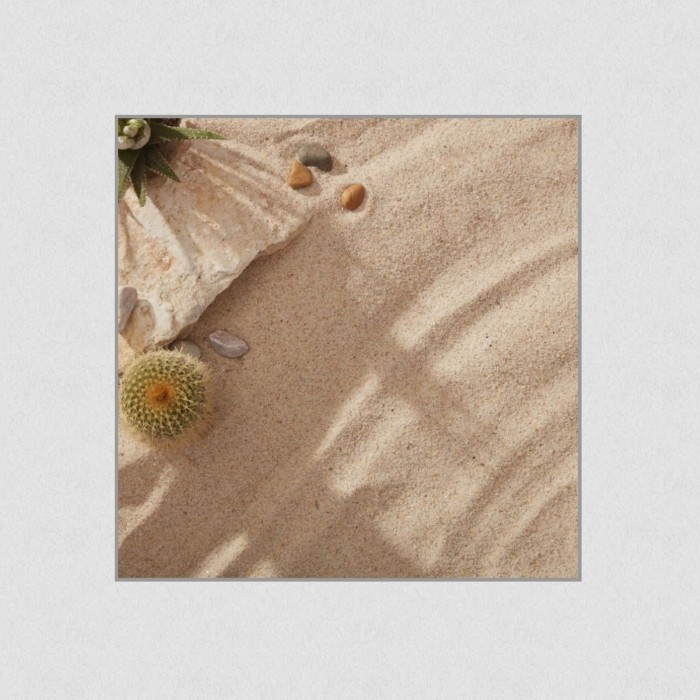 Akustikbild Basotect® Schallabsorber - Sommerstrand mit Steinen, Kakteen und Kies. in vielen Größen