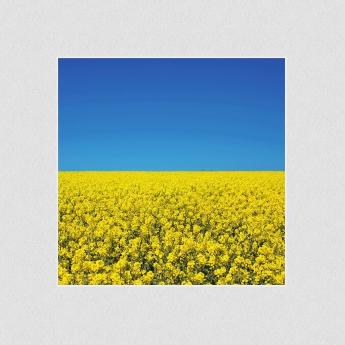 Akustikbild Basotect® Schallabsorber - Sommerhimmel in vielen Größen