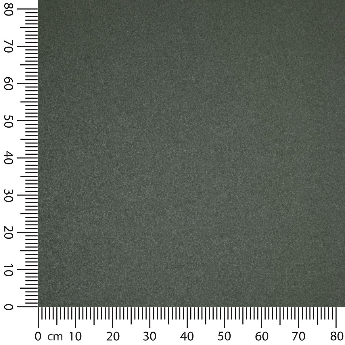 Bild 40 von 70