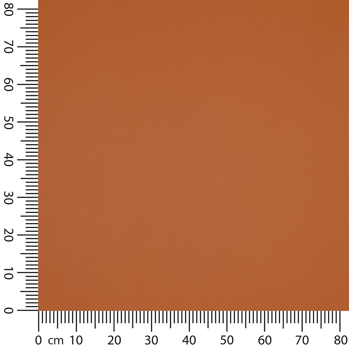 Bild 19 von 70