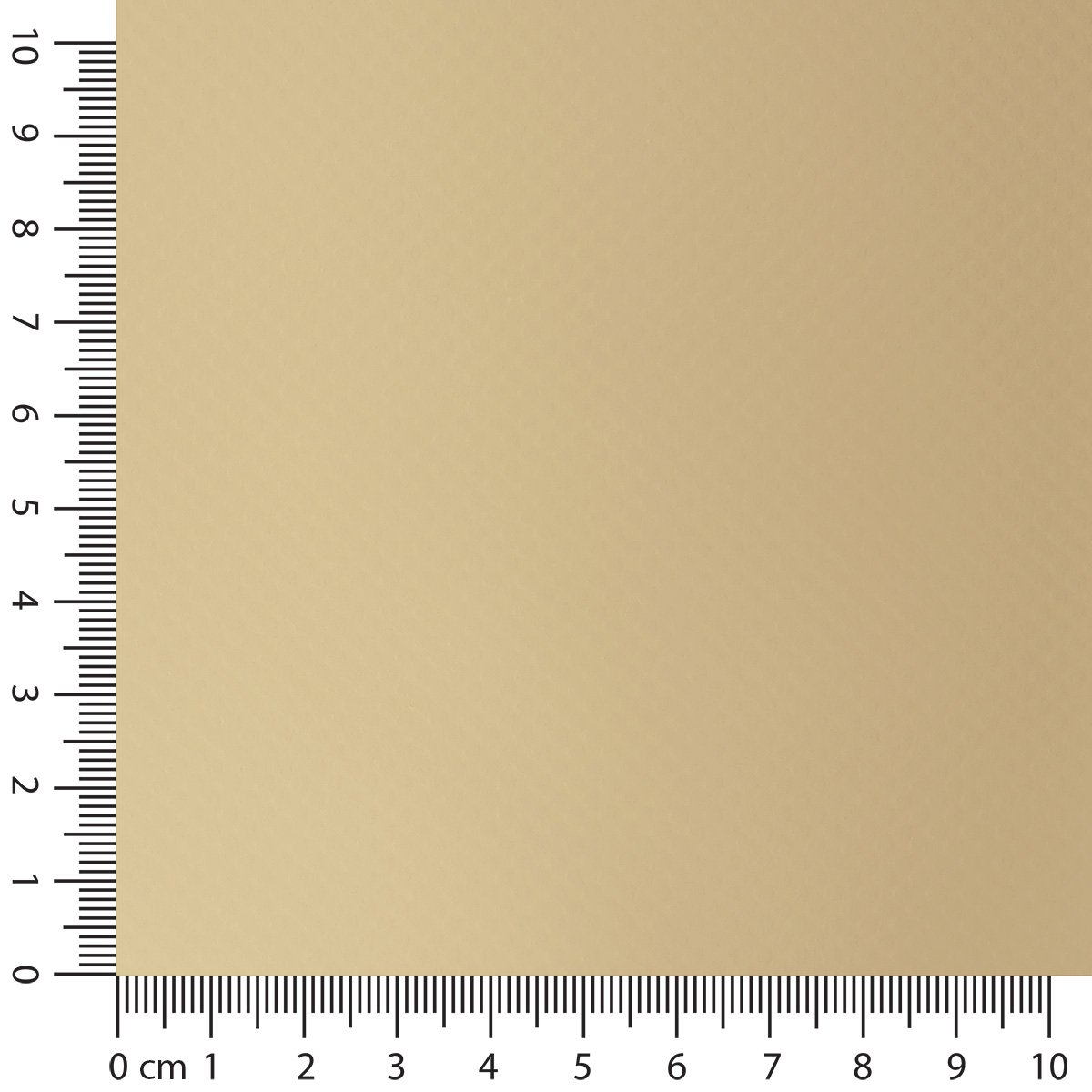 Bild 6 von 40