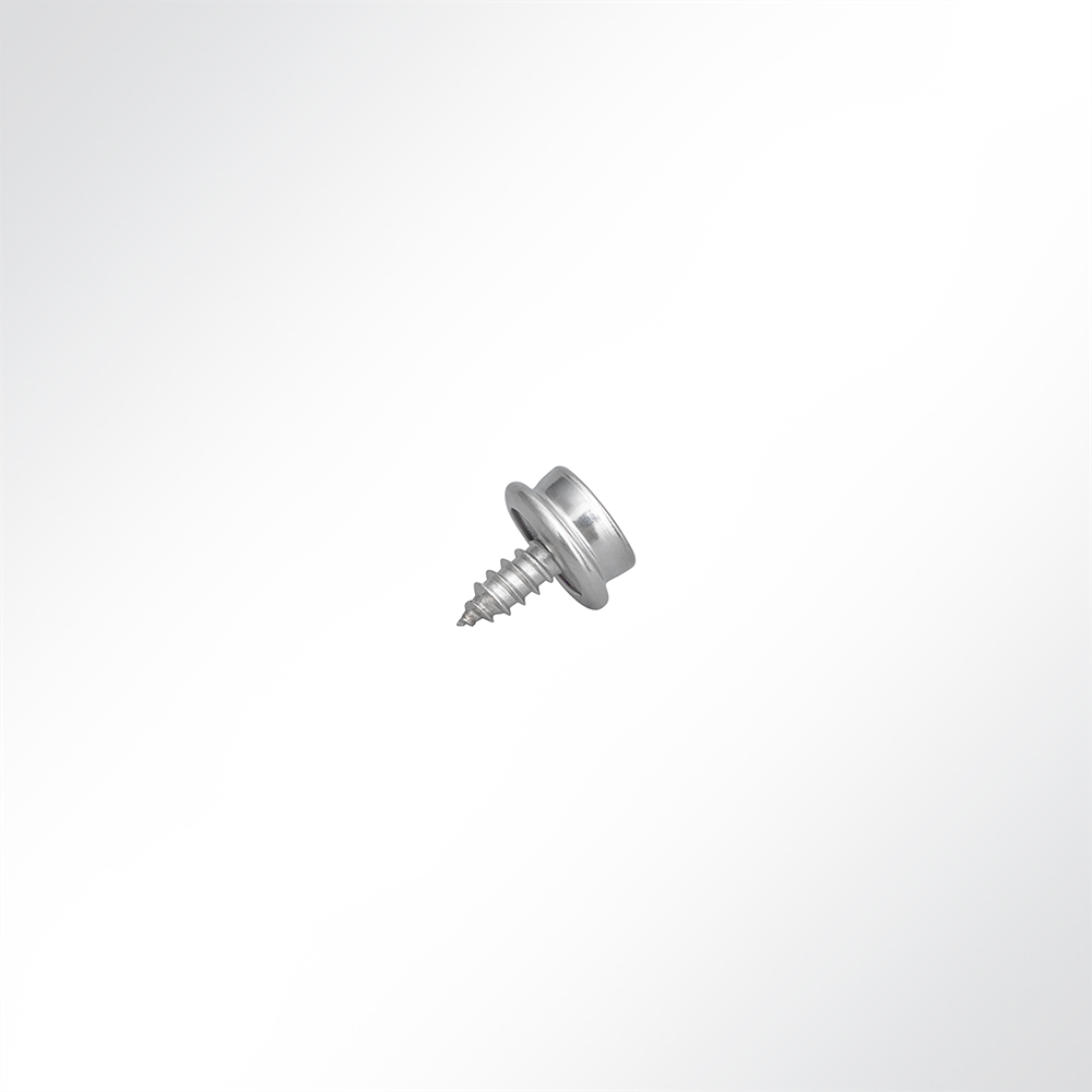 Artikelbild Zapfen Messing vernickelt mit 8mm Edelstahlschraube #8 gewindeschneidend