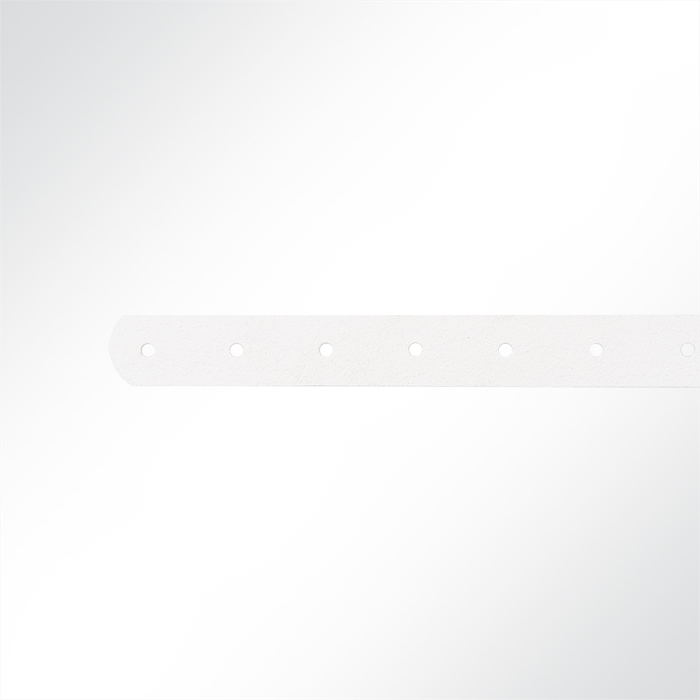 Artikelbild Strippe für Schnallriemen an Planen Anhänger, Länge 600mm, Weiß